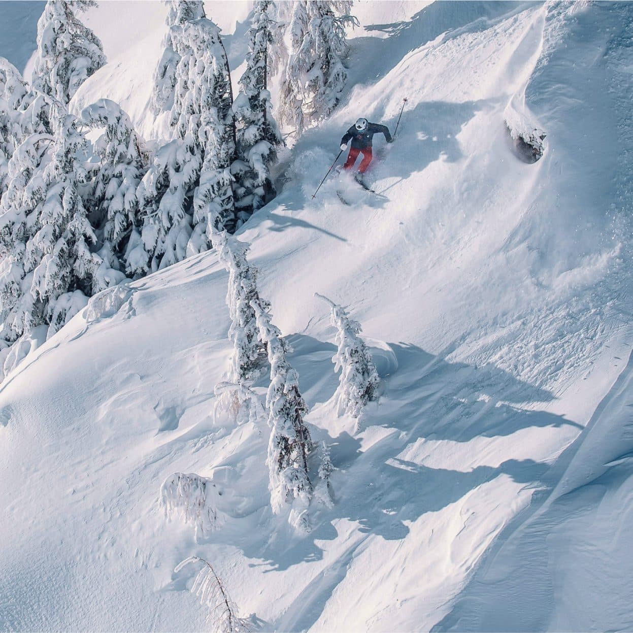 A skier in red trousers turning through deep powder on a steep slope, snow loaded fir trees beside them.