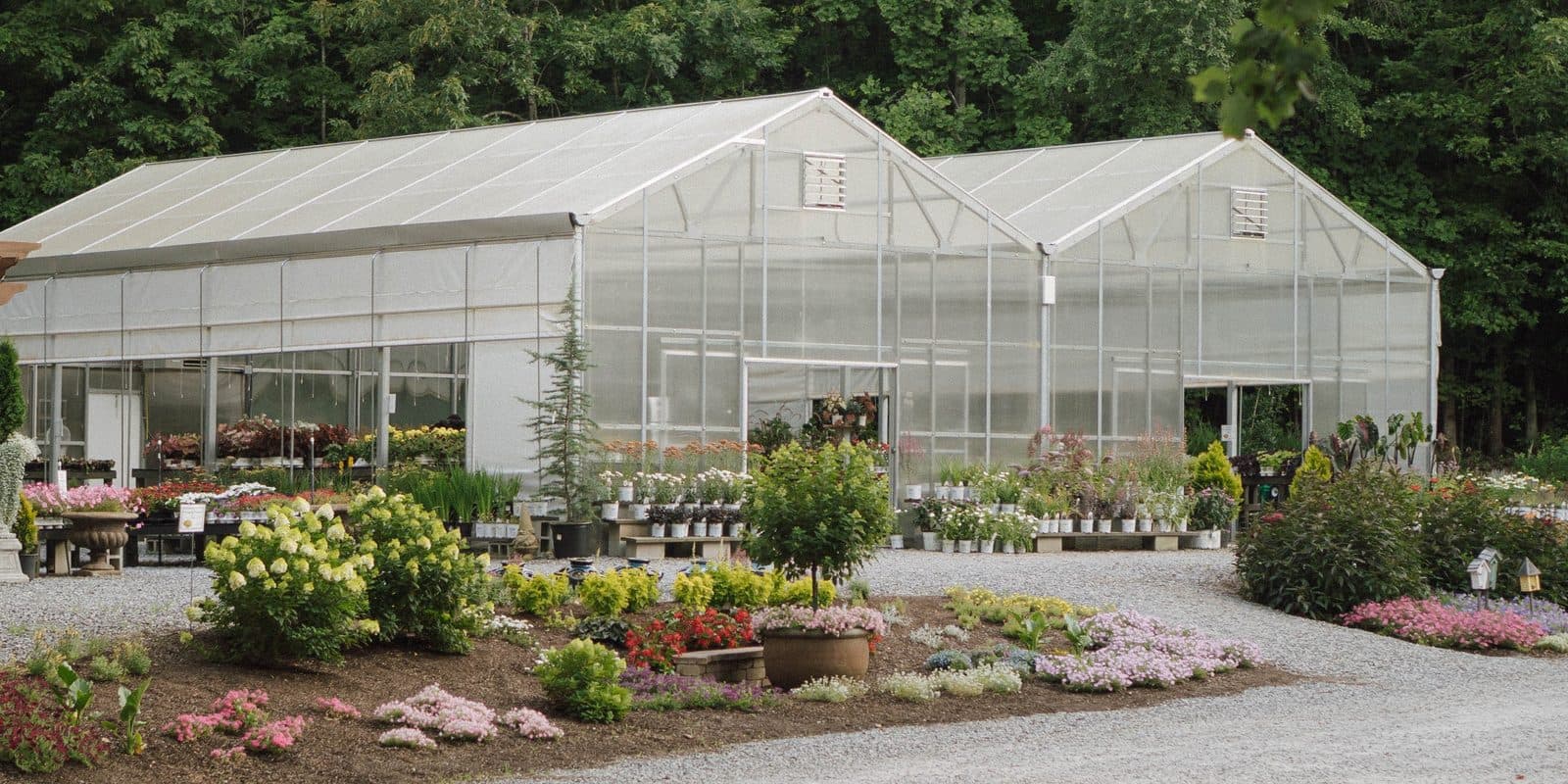 Two glasshouses behind garden beds of shrubs and flowering perennials, potted plants on benches by the door, woods behind